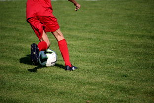 九游体育官网-CBA球队加强后勤保障体系优化训练和比赛准备，cba后备联赛